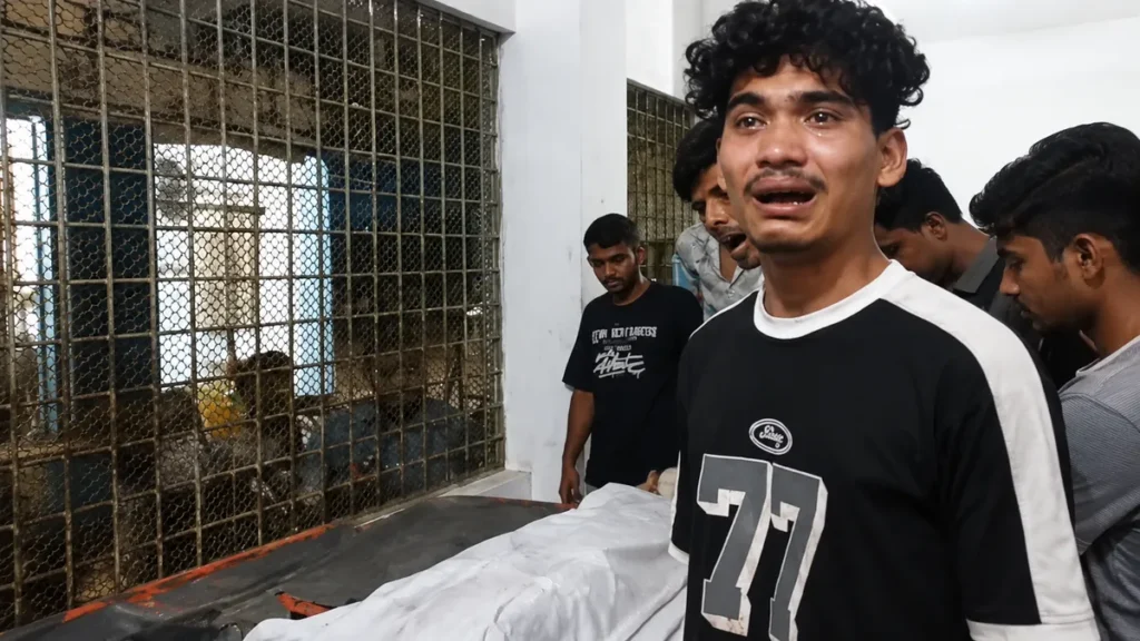 লক্ষ্মীপুরে সুপারি গাছে