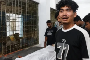 লক্ষ্মীপুরে সুপারি গাছে